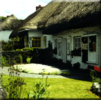 Thatched Roof 