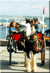 Jeff and Penny in Jaunting Cart