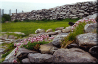 Dunbeg Fort